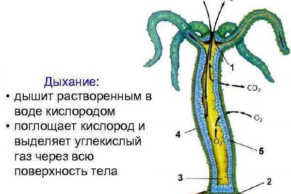 Дарк маркетплейс кракен